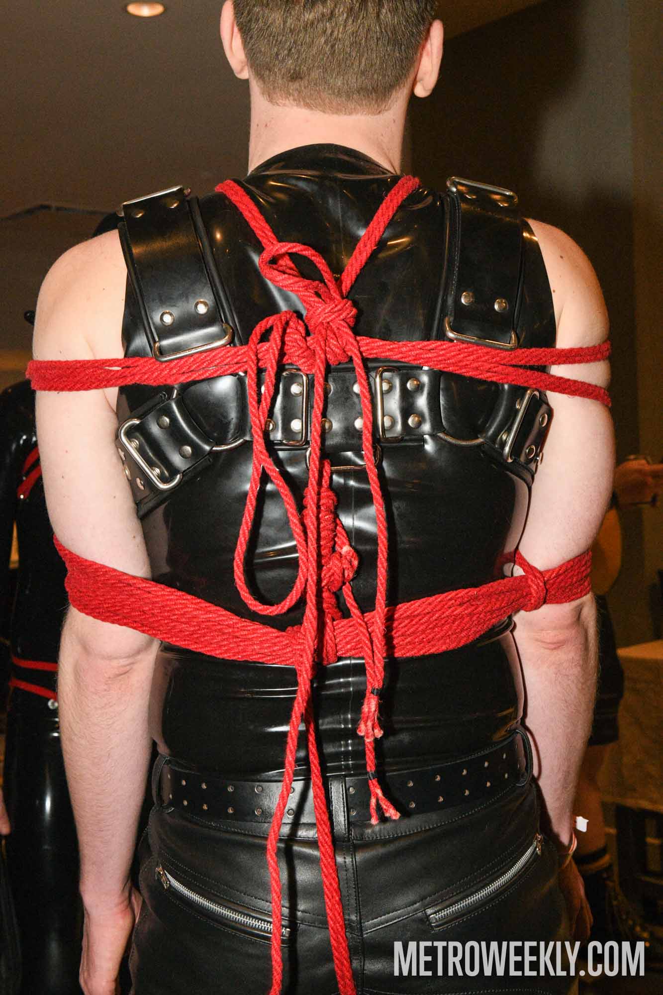 #146 of 168 : 2026-01-23_3027_179362.jpg